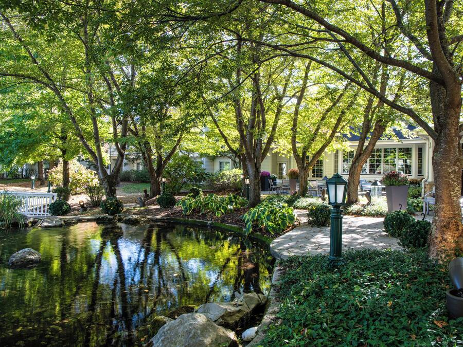 Un jardín sereno con un estanque, rodeado de exuberante follaje y árboles.