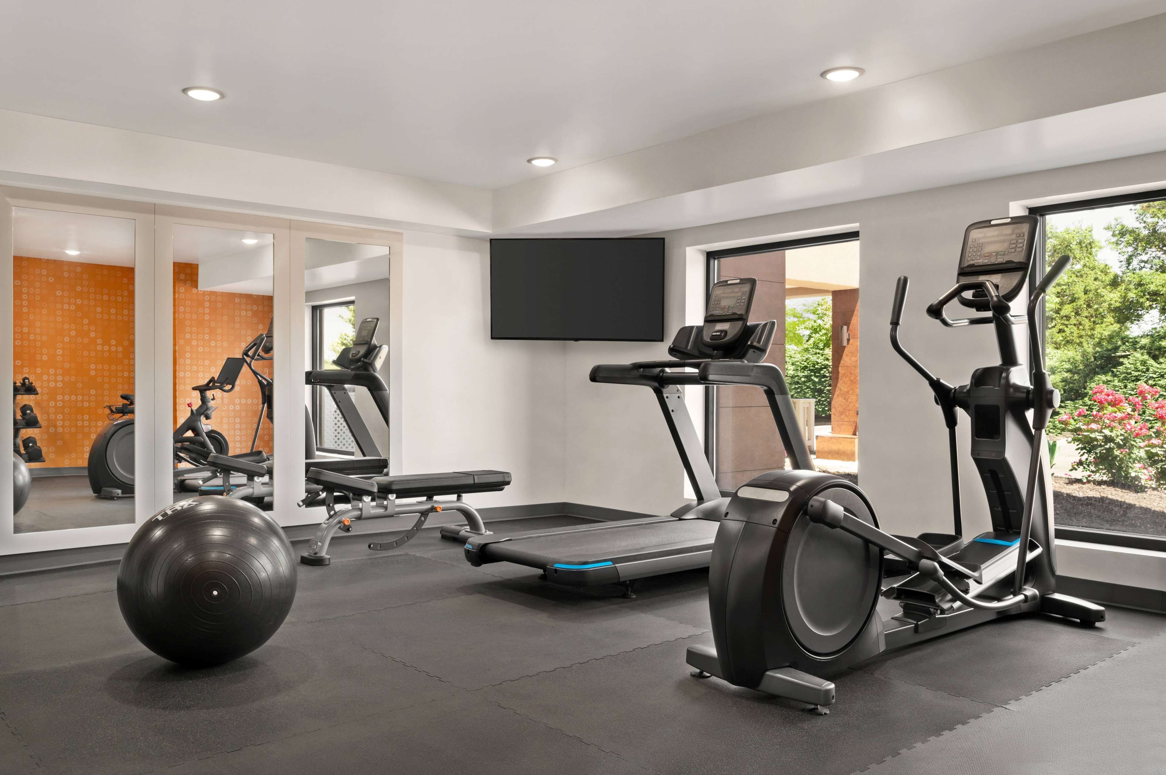 A modern gym with treadmills, an elliptical, and a large exercise ball.