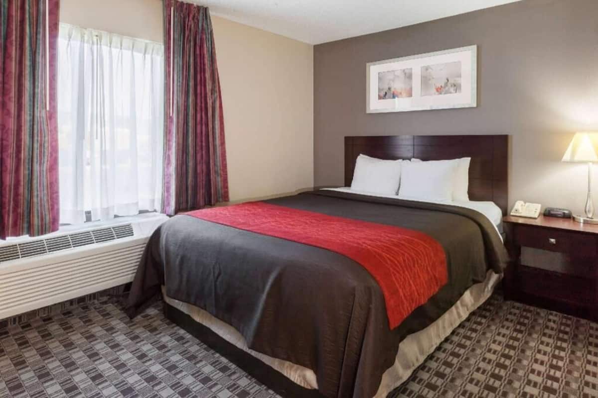 A hotel room with a bed, a window with curtains, a wall-mounted picture, a bedside table with a lamp, and a radiator.