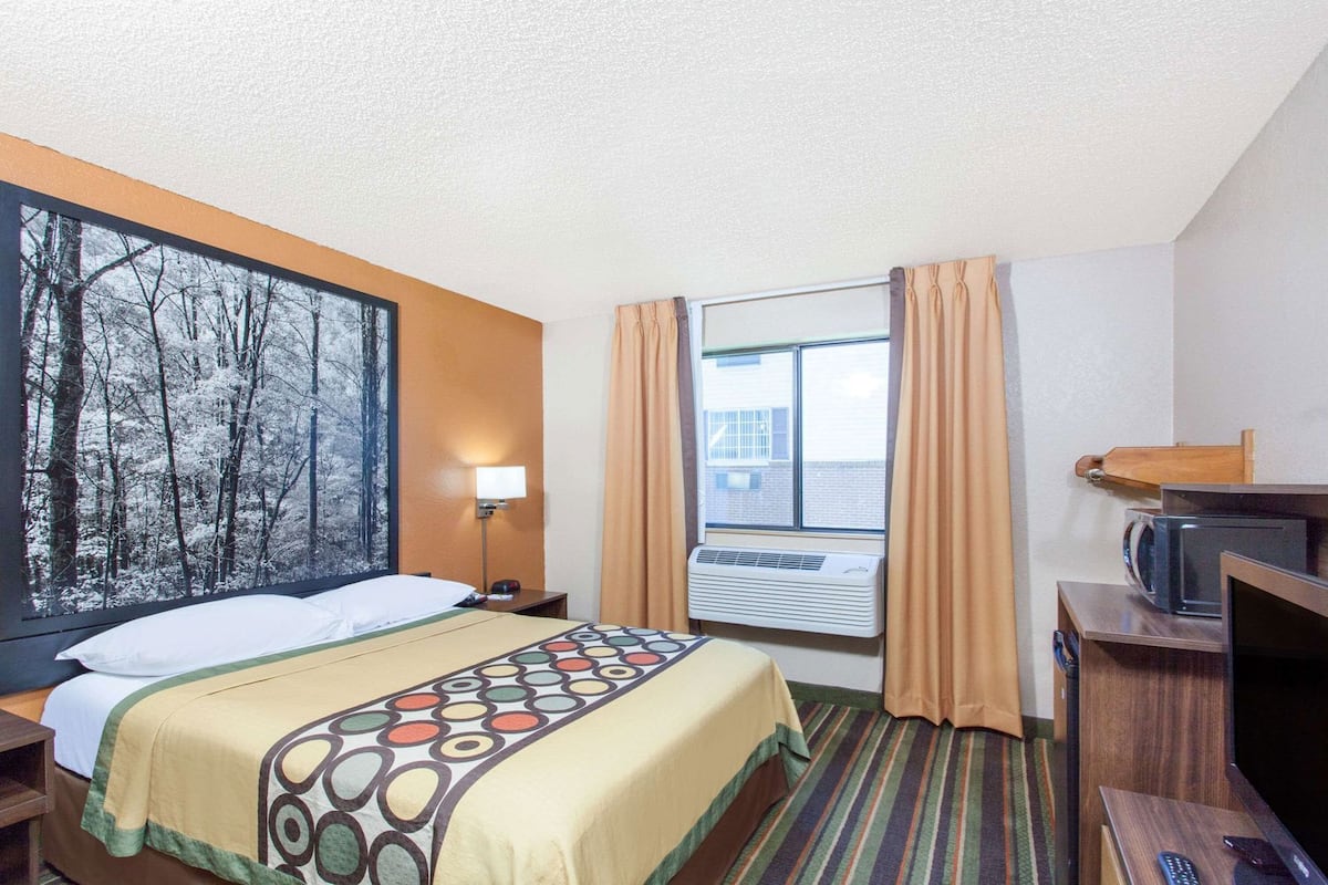 A hotel room with a bed, a TV, a window with curtains, an air conditioning unit, and a wall with a forest image.