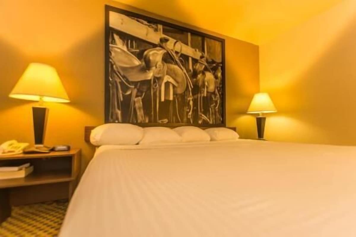 A hotel room with a bed, two bedside lamps, a nightstand with a phone, and a painting on the wall.
