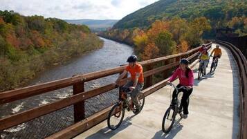 Un grupo de ciclistas sobre un puente, con un río y colinas boscosas al fondo.