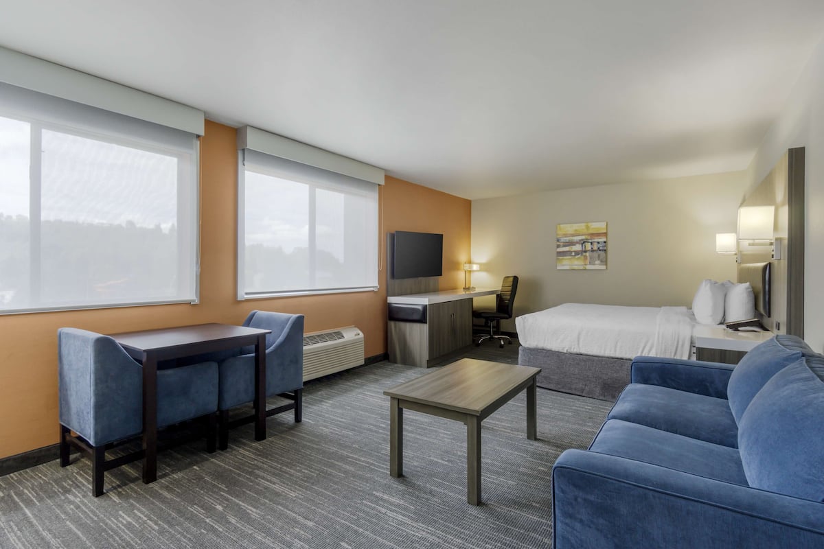 Standard Room, 1 King Bed, Non Smoking, Refrigerator & Microwave