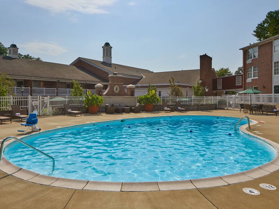 Seasonal outdoor pool, sun loungers