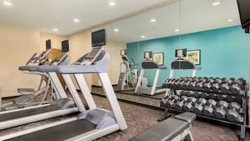 A gym with treadmills, a bench, and a rack of dumbbells.