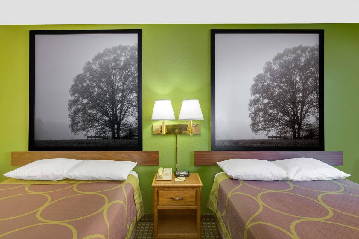 Une chambre d’hôtel avec deux lits, une table de chevet avec une lampe et deux tableaux représentant des arbres, accrochés au mur.