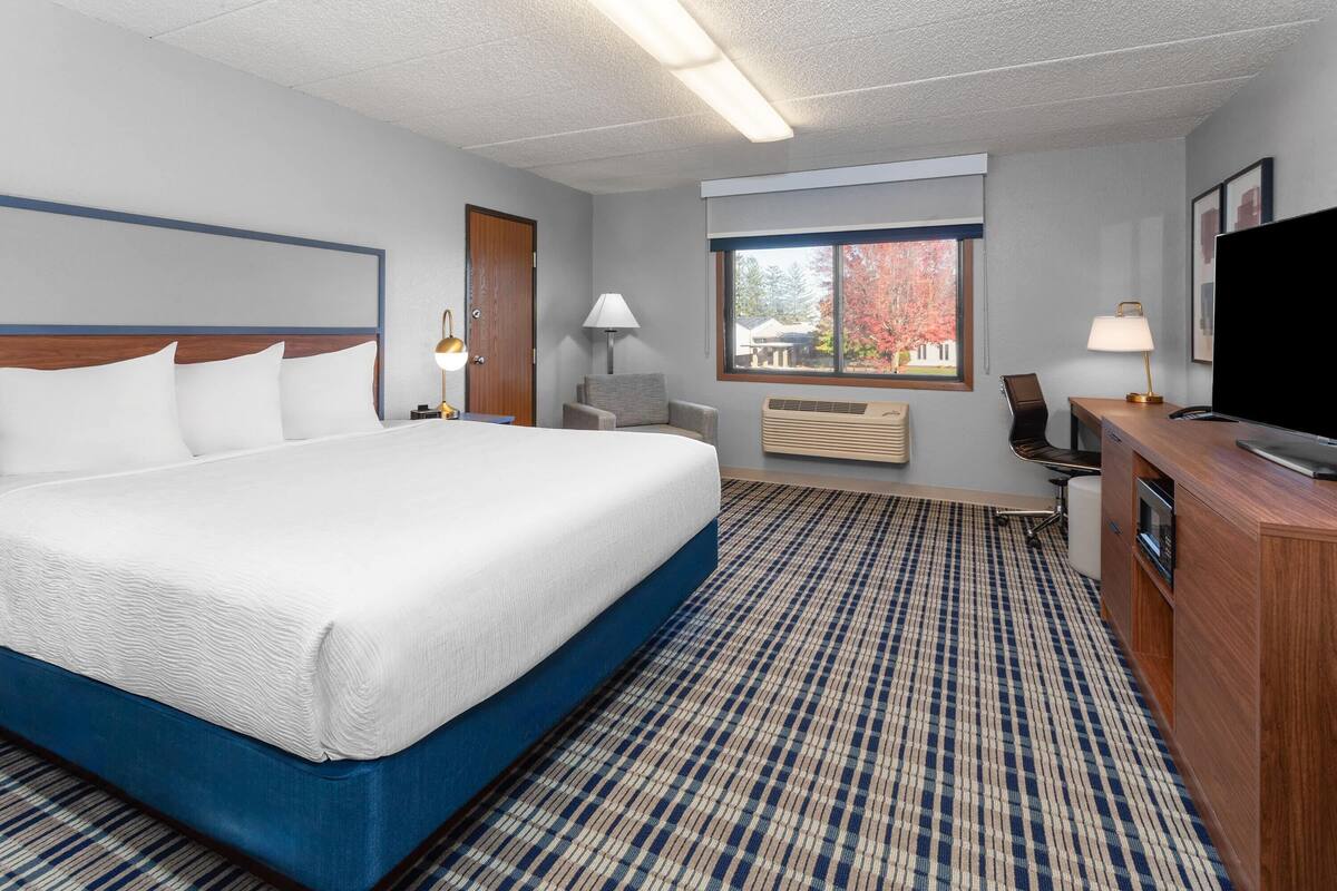Room, 1 King Bed, Non Smoking | Laptop workspace, iron/ironing board, travel crib, WiFi (free)