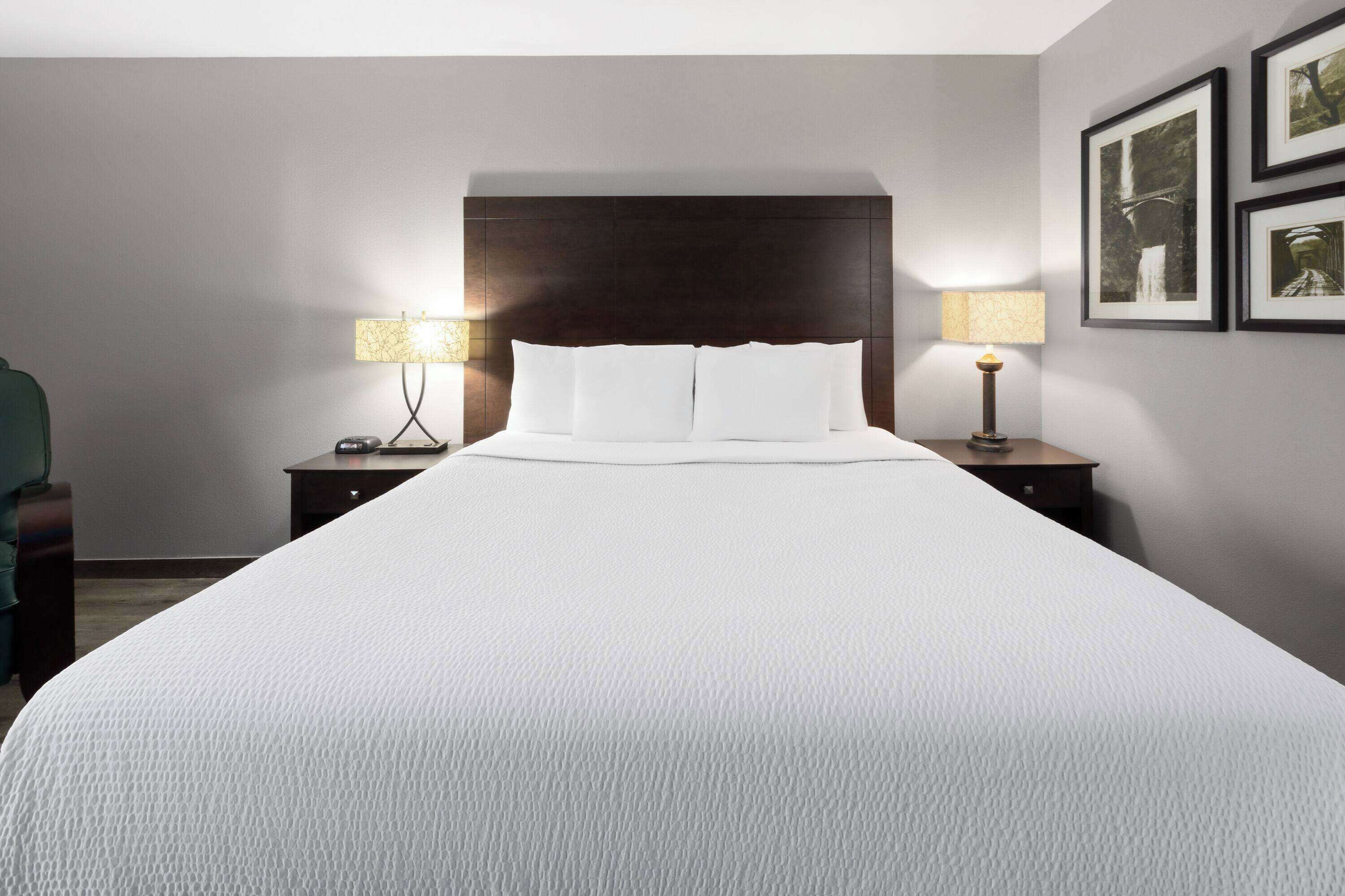 Premium bedding, desk, iron/ironing board, free cots/infant beds