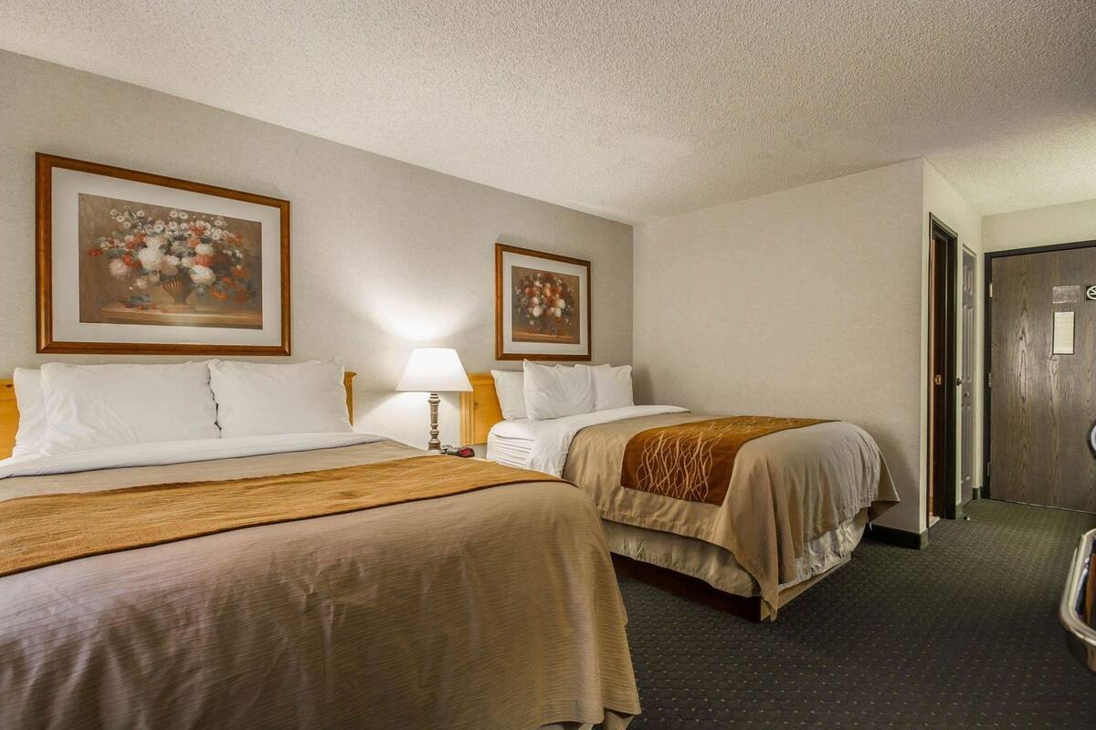 Premium bedding, pillow-top beds, in-room safe, desk