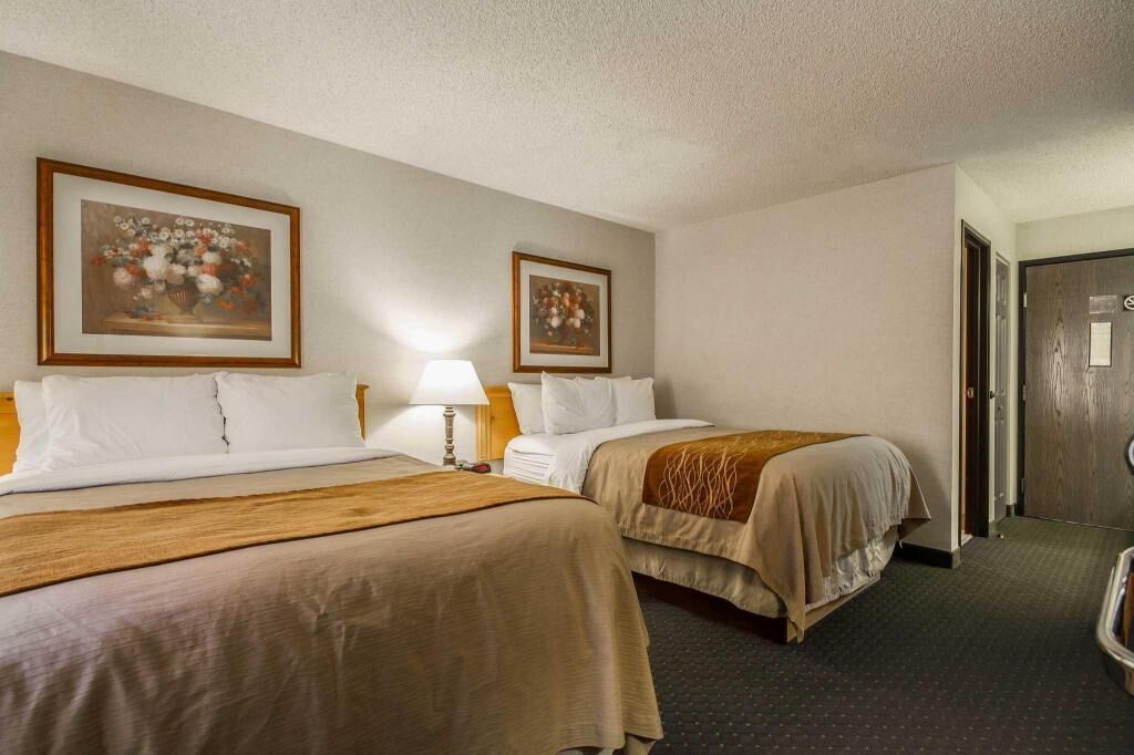Premium bedding, pillow-top beds, in-room safe, desk