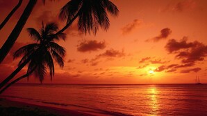 Ein Sonnenuntergang über einem Strand mit Palmen und einem entfernten Segelboot.