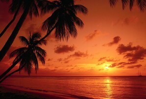 บนชายหาด, บาร์ริมหาด