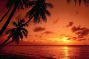 On the beach, beach bar