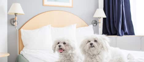 Un lit avec deux chiens blancs, un tableau encadré au mur et deux lampes.