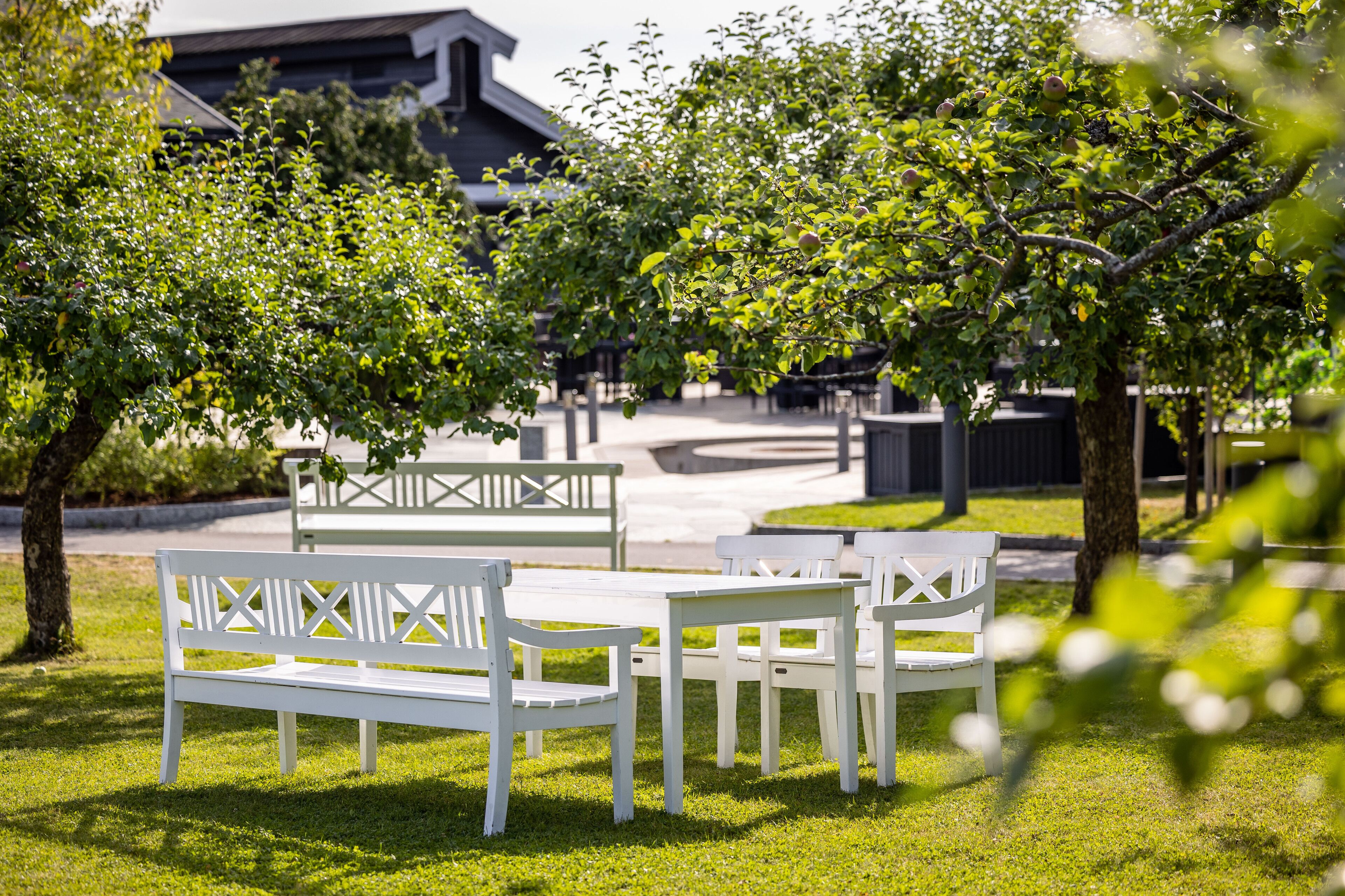 An outdoor seating area with white benches and tables, surrounded by lush greenery and trees.