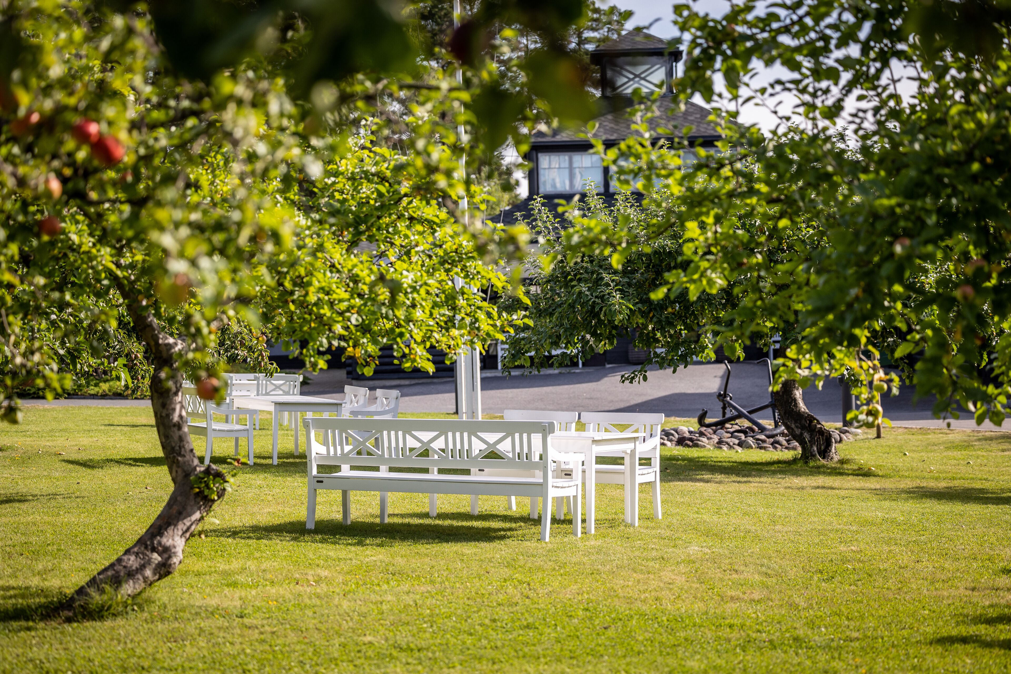 A grassy outdoor area with white benches and tables, surrounded by trees and a building with a tower in the background.