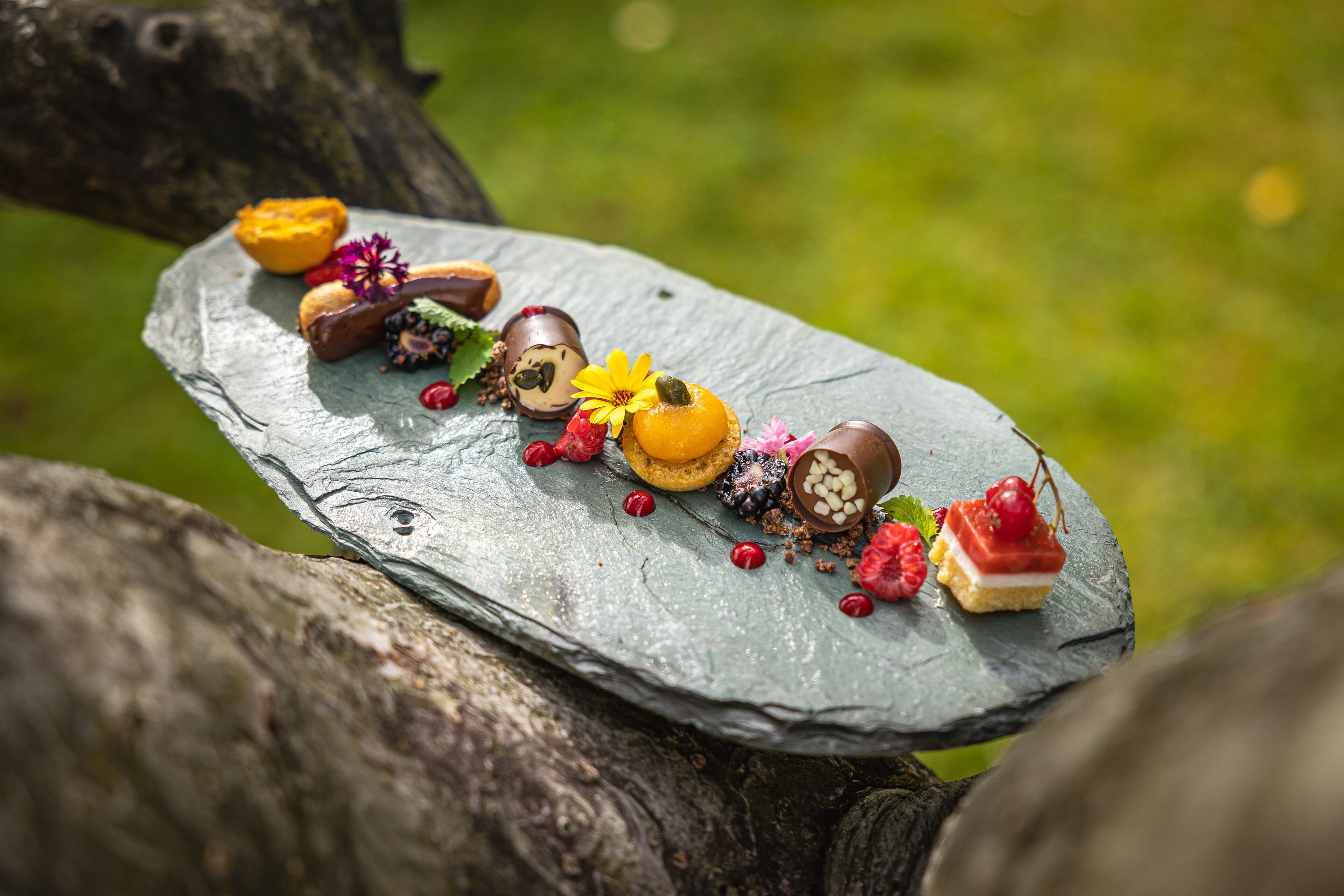Una tabla de pizarra con diversos postres y frutas sobre una rama de árbol.