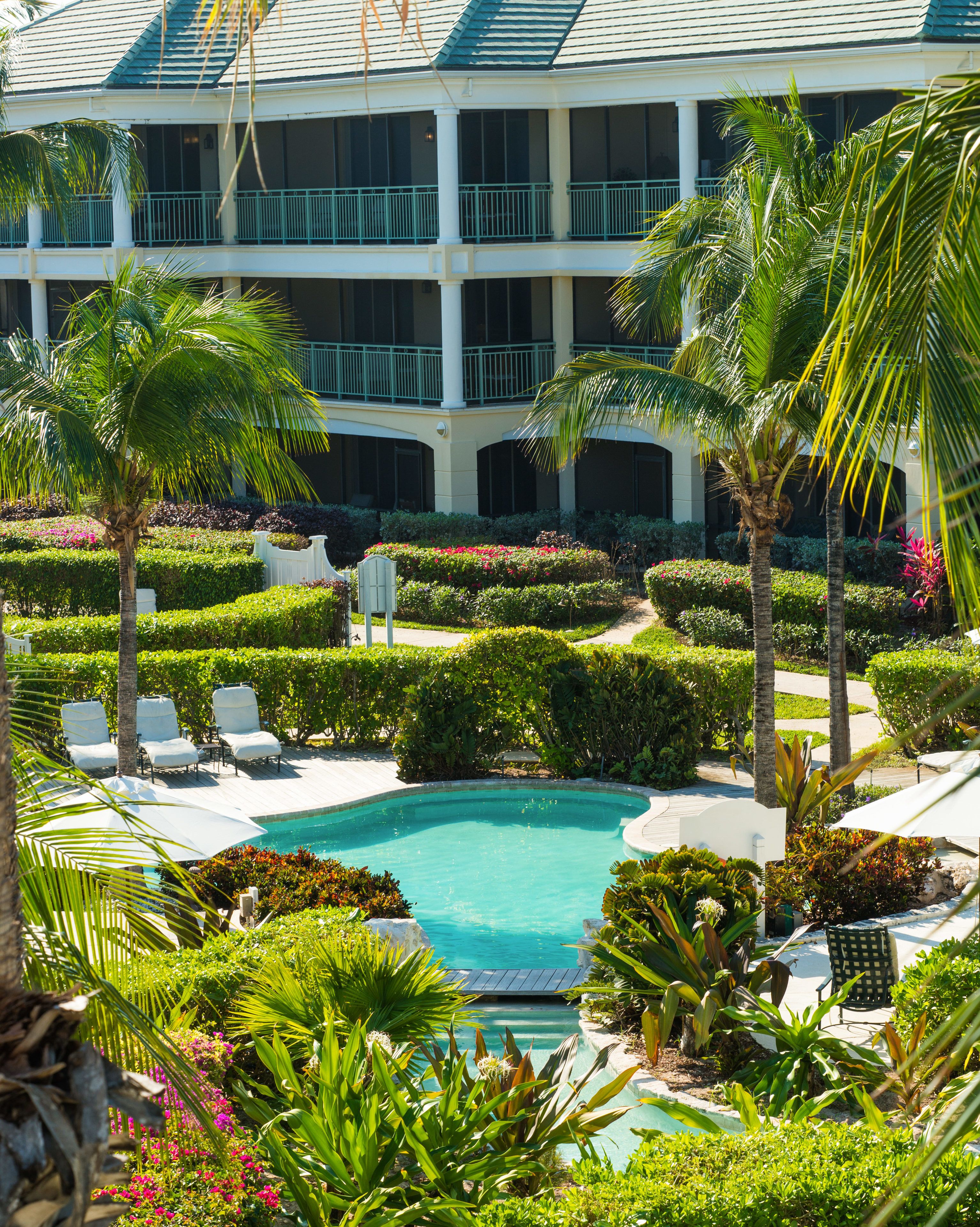A resort with a swimming pool surrounded by lush greenery and palm trees.