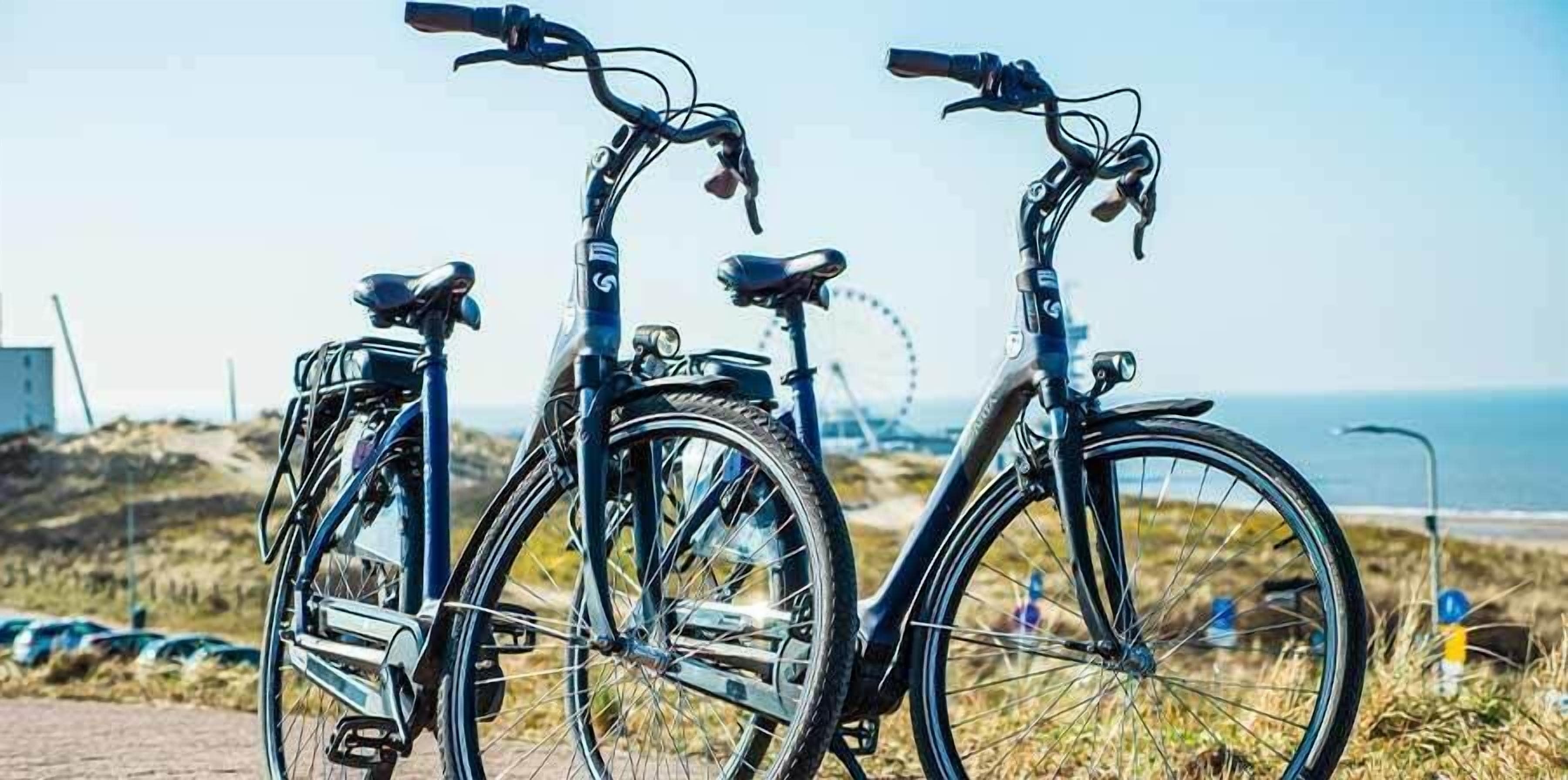 Three bicycles parked on a paved path with a view of the ocean and a distant Ferris wheel.