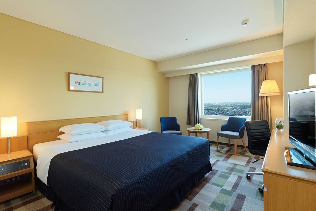 A hotel room with a large bed, two chairs, a desk with a TV, and a window with a city view.