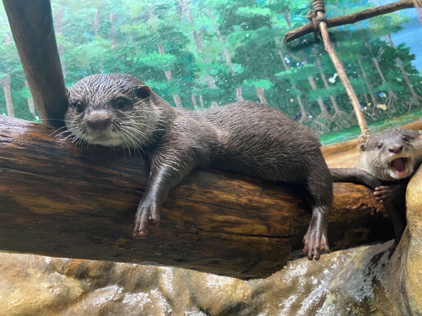 children’s play area – indoor