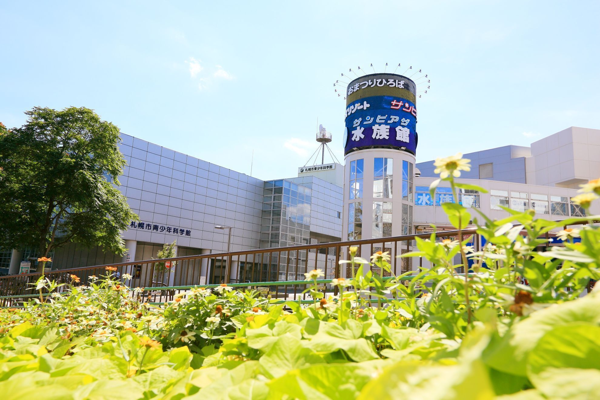 children’s play area – indoor