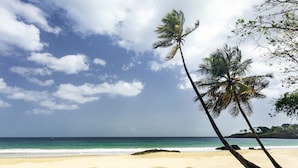 A beach with two palm trees and a clear sky. - Le Grand Courlan Spa Resort - Adults Only (Black Rock)