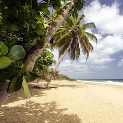 Beach nearby, beach bar