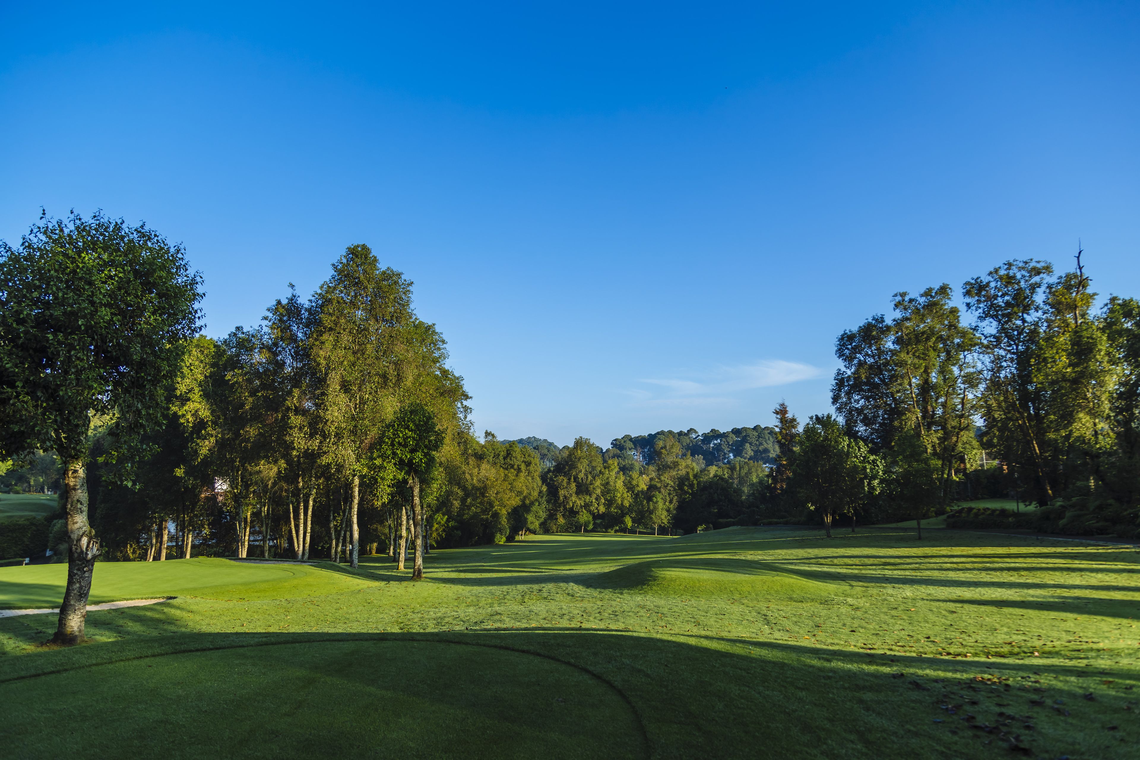 children’s activities