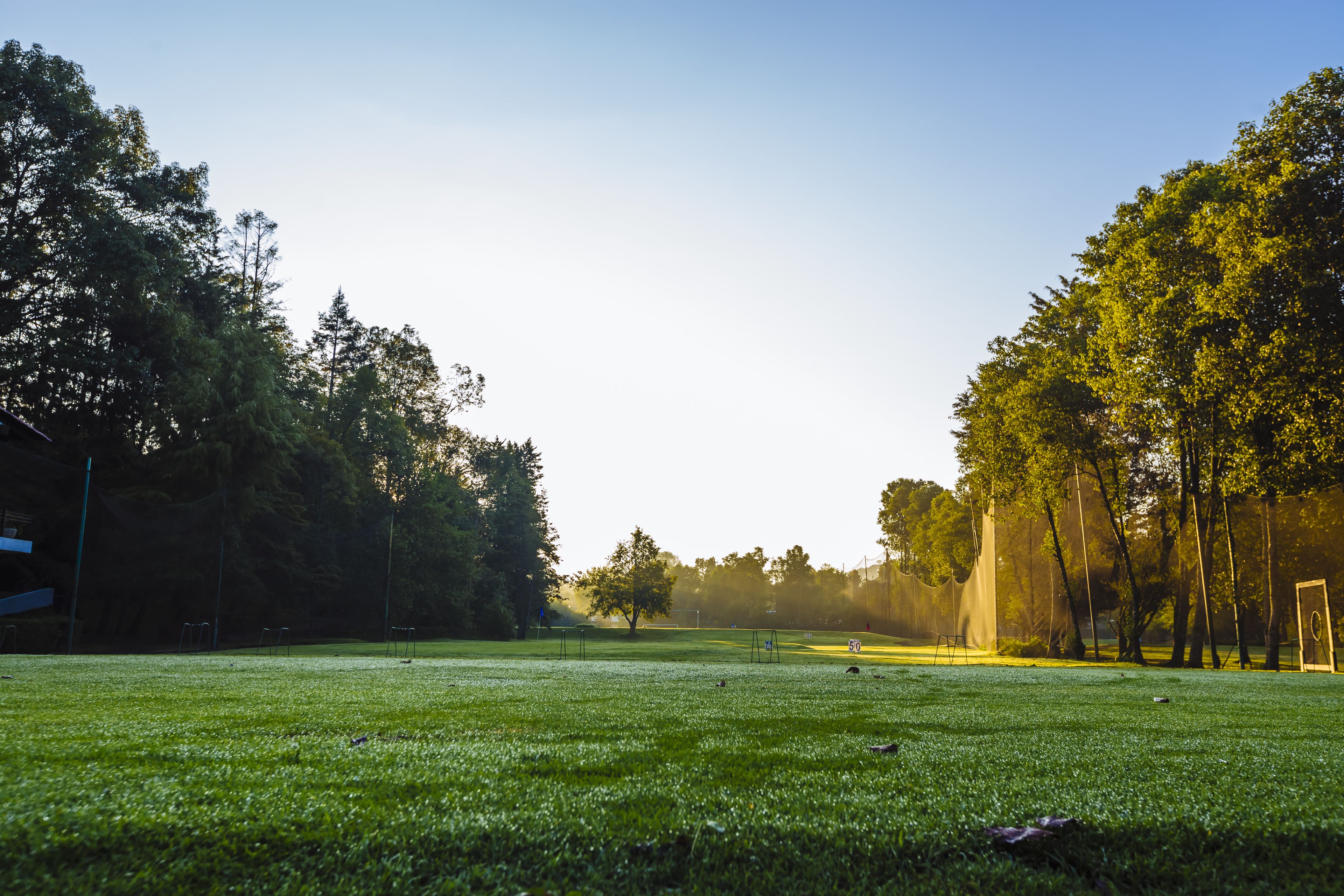 Ein grünes Feld mit Bäumen und blauem Himmel.
