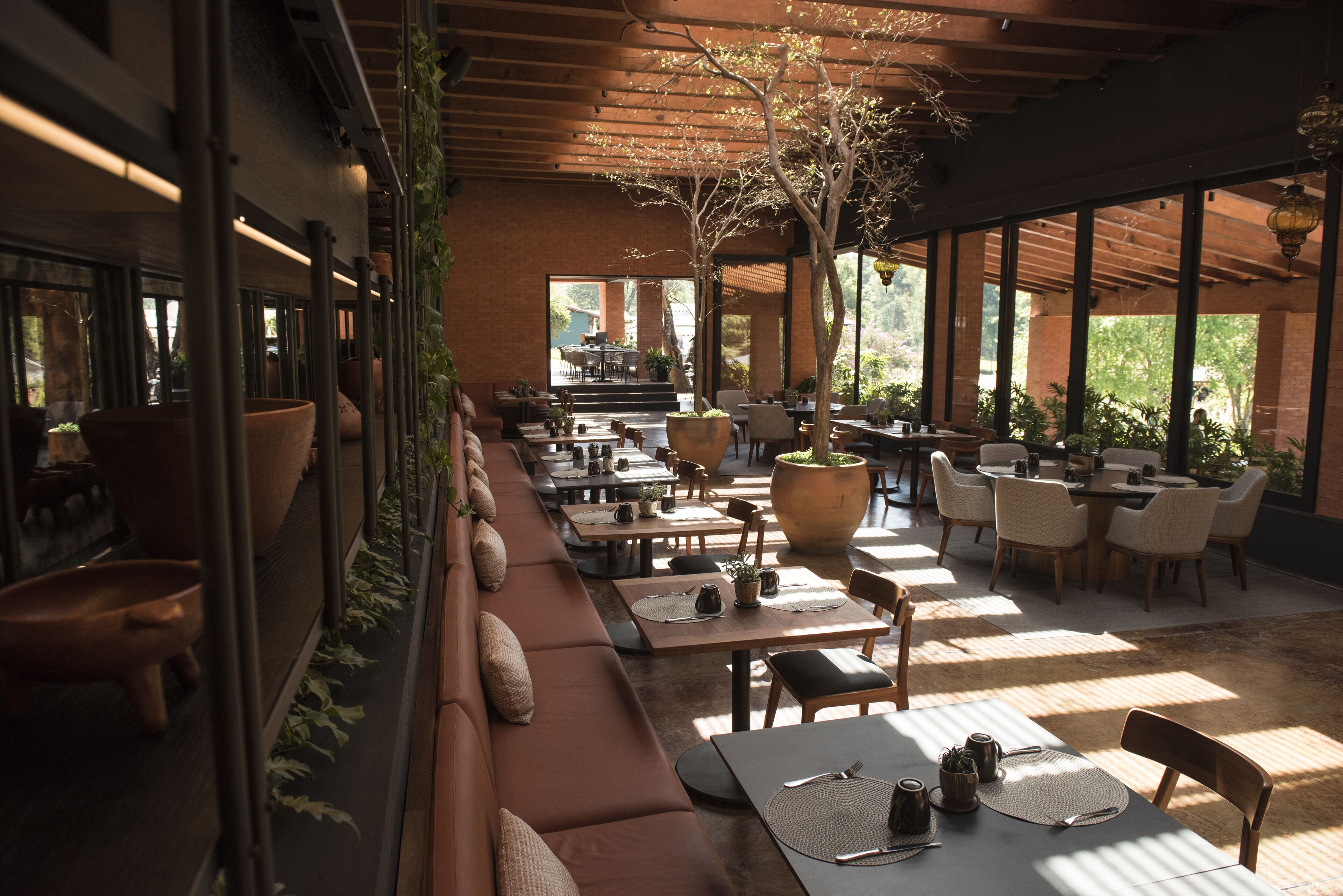 A restaurant with long communal tables, cushioned seating, and large potted plants.