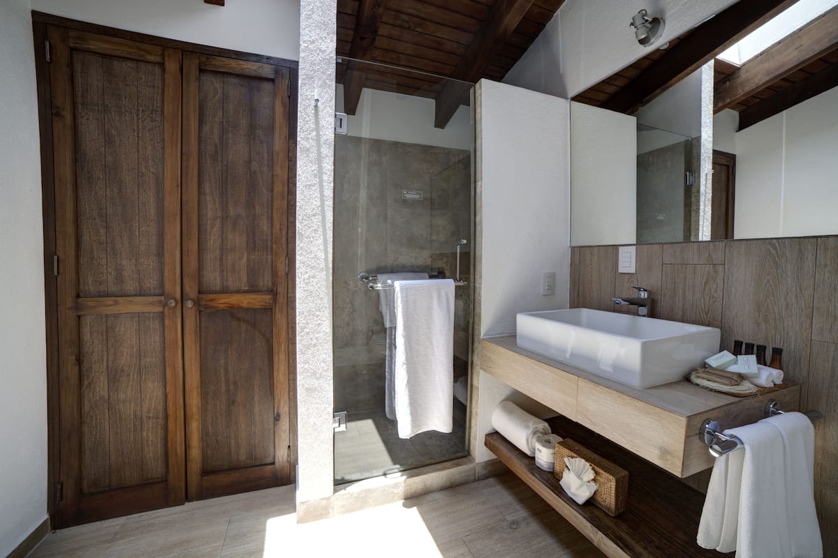 shower, free toiletries, hair dryer, towels