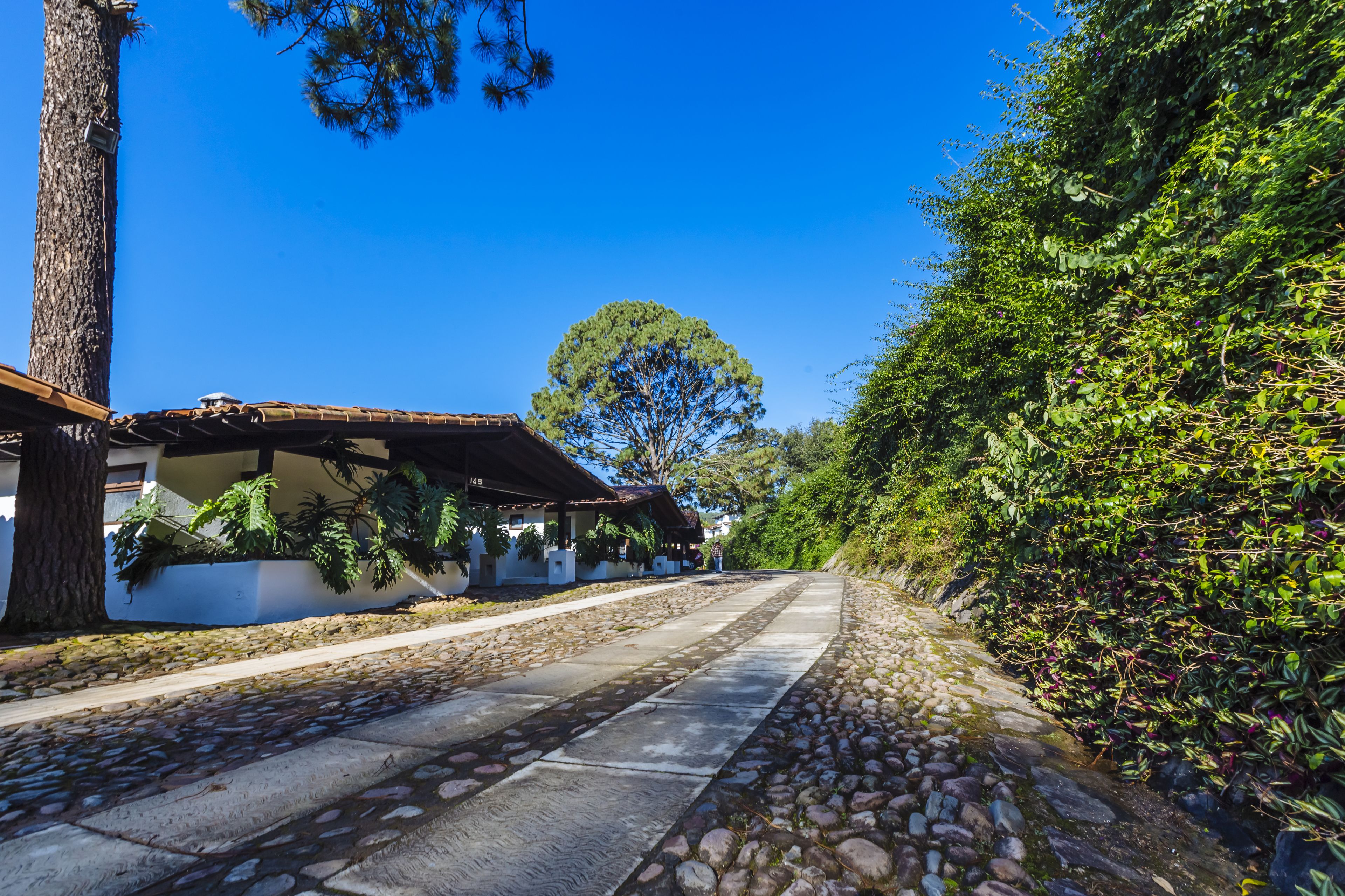 A cobblestone street lined with a building featuring a covered patio area and a large tree in the background.