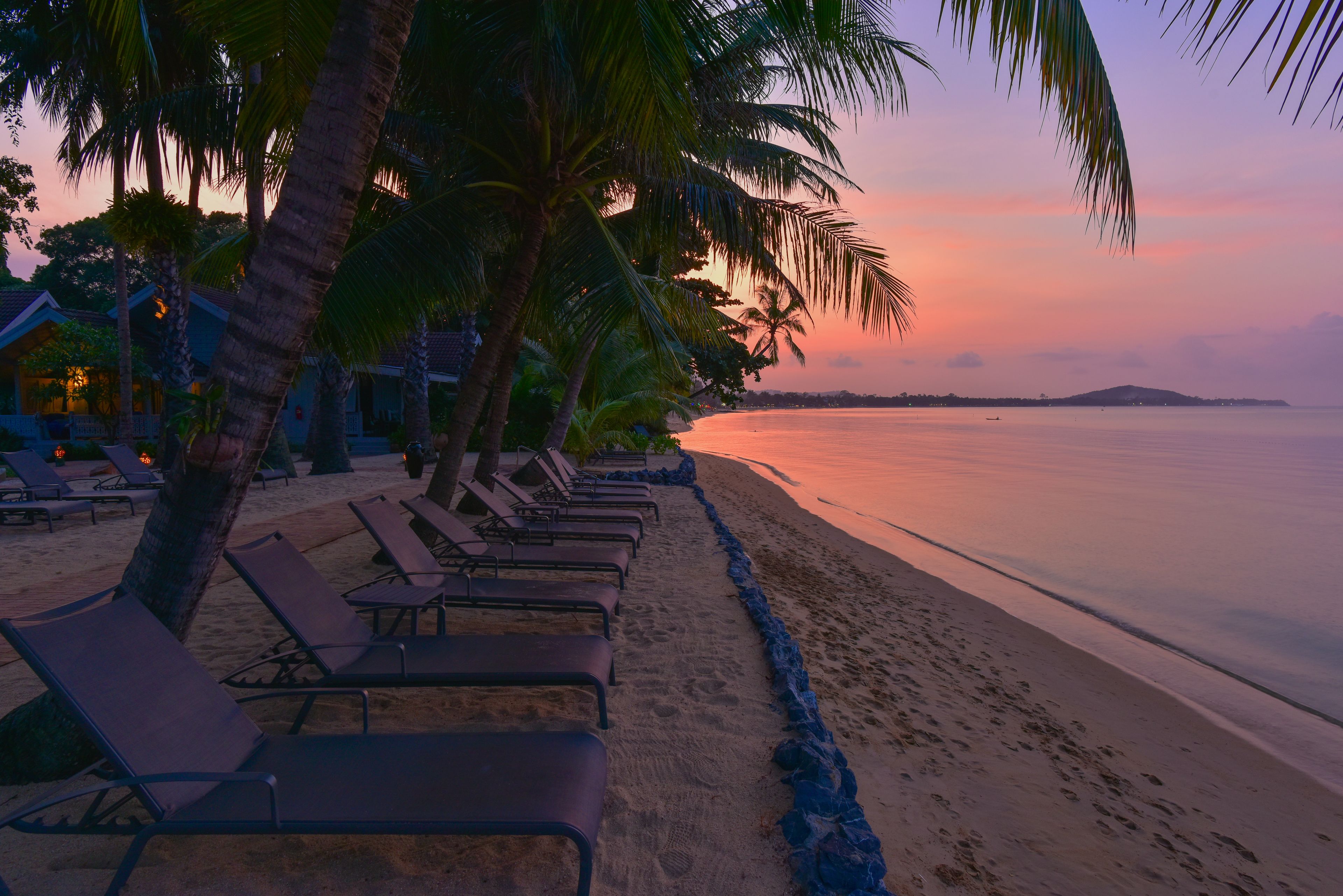 A beach with lounge chairs and palm trees, a sandy shoreline, and a view of the sea and distant land.