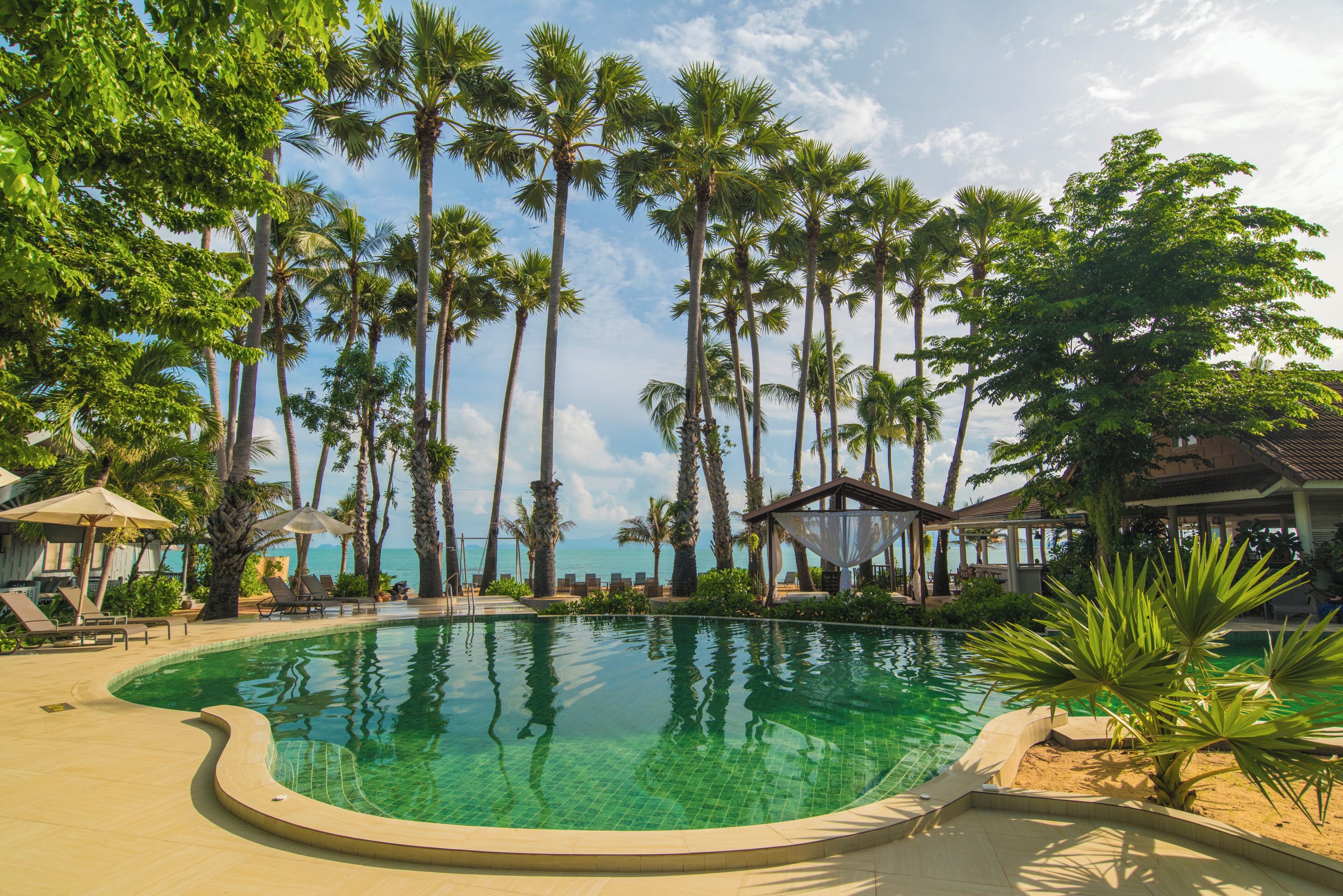 A pool surrounded by palm trees and lounge chairs, with a view of the ocean.