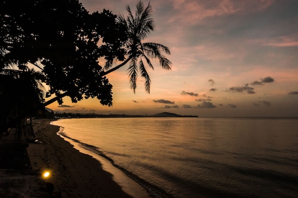 PĂ„ stranden, solstolar, parasoller och strandhanddukar