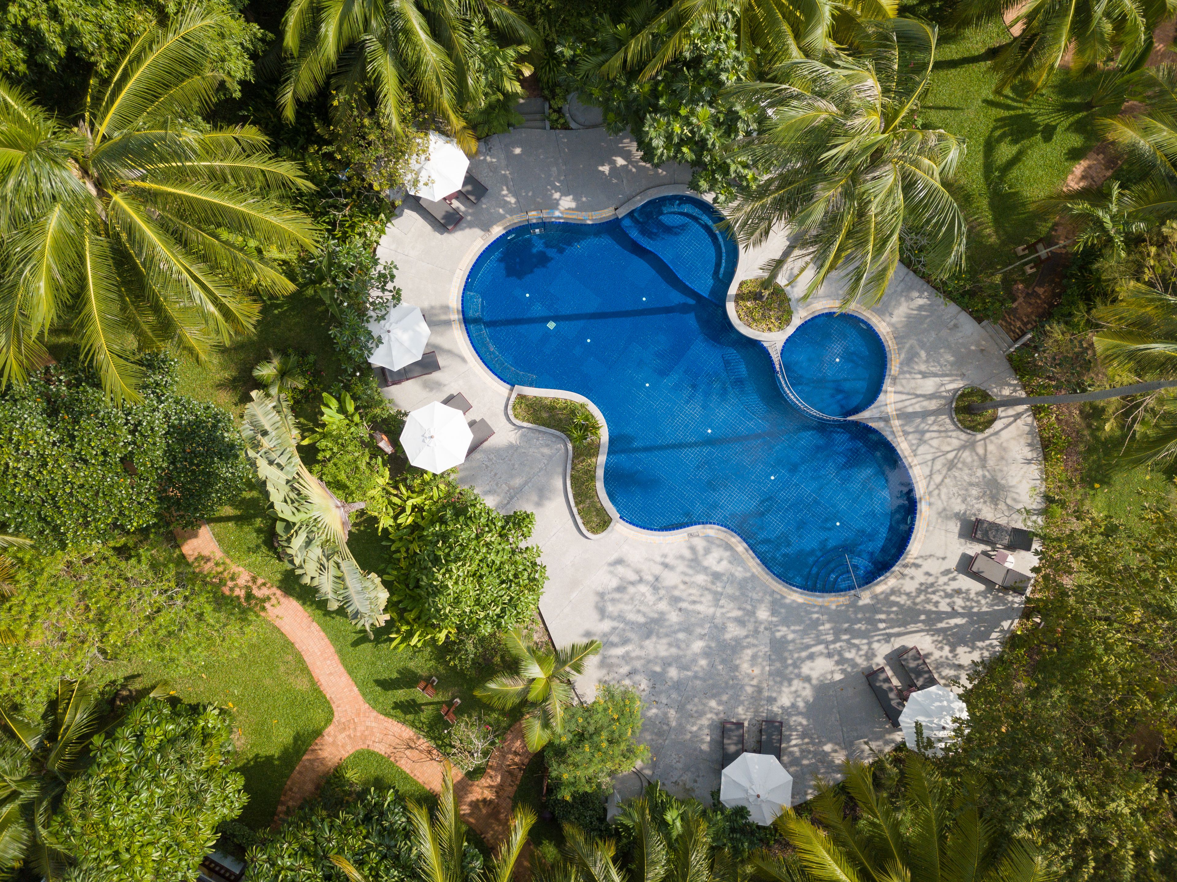 Vista aérea de una piscina privada rodeada de palmeras y zonas de estar al aire libre.