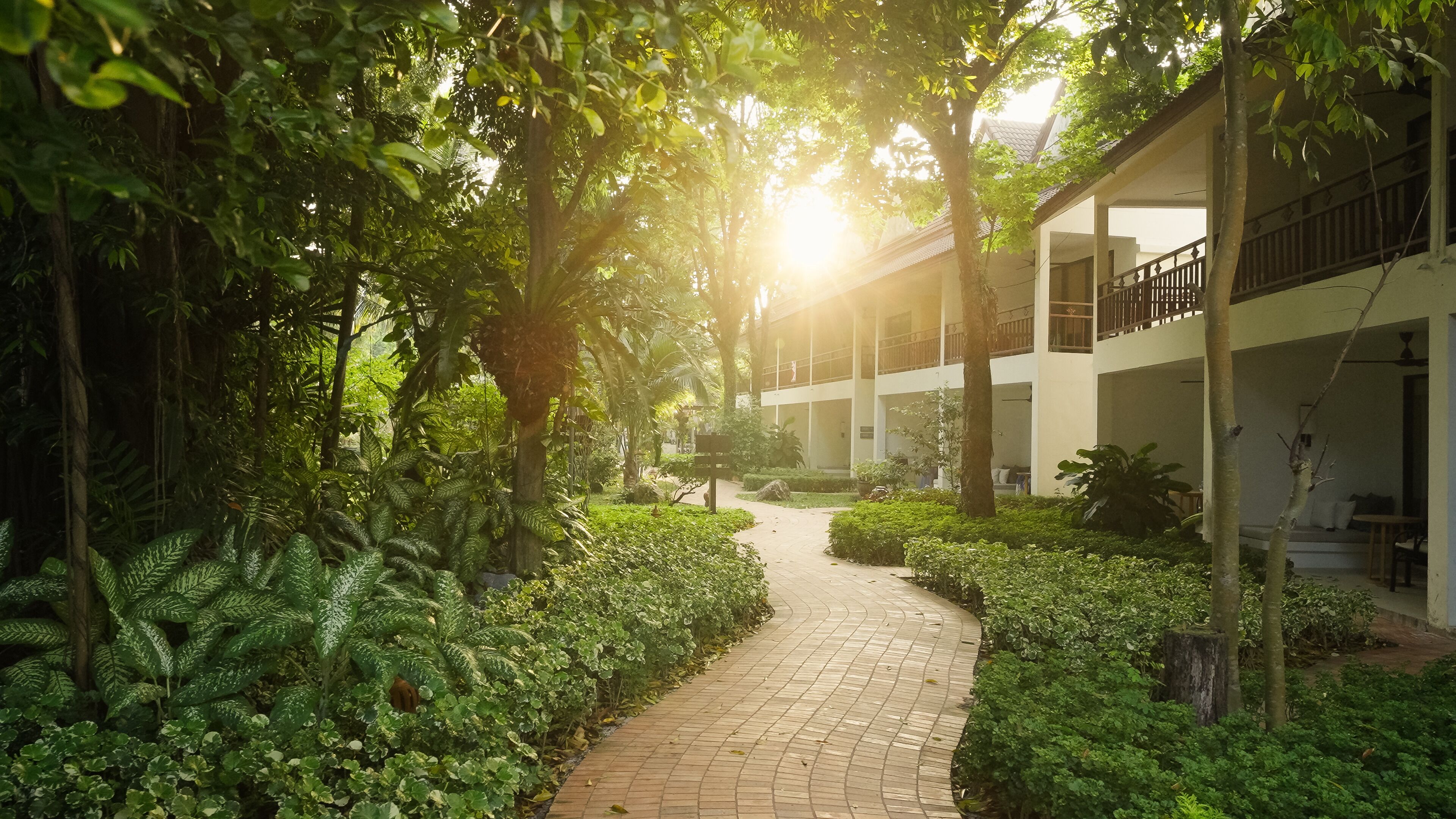 Photo - Paradise Beach Resort, Koh Samui