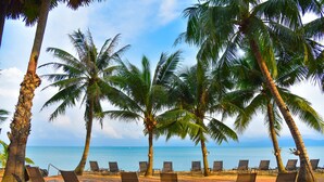 Une plage bordée de palmiers, avec des chaises longues donnant sur l’océan.