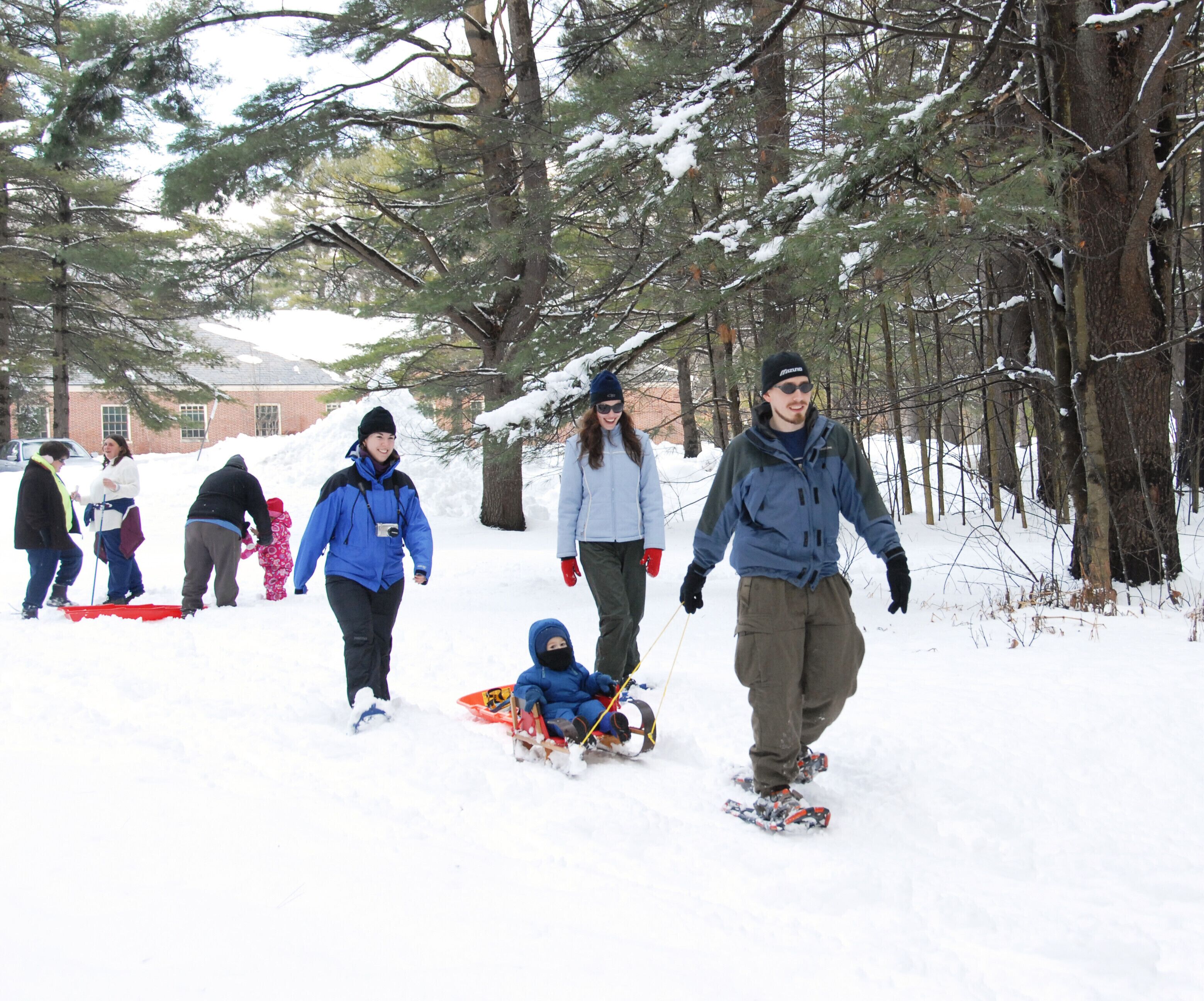 A group of people sledding in a snowy forested area.