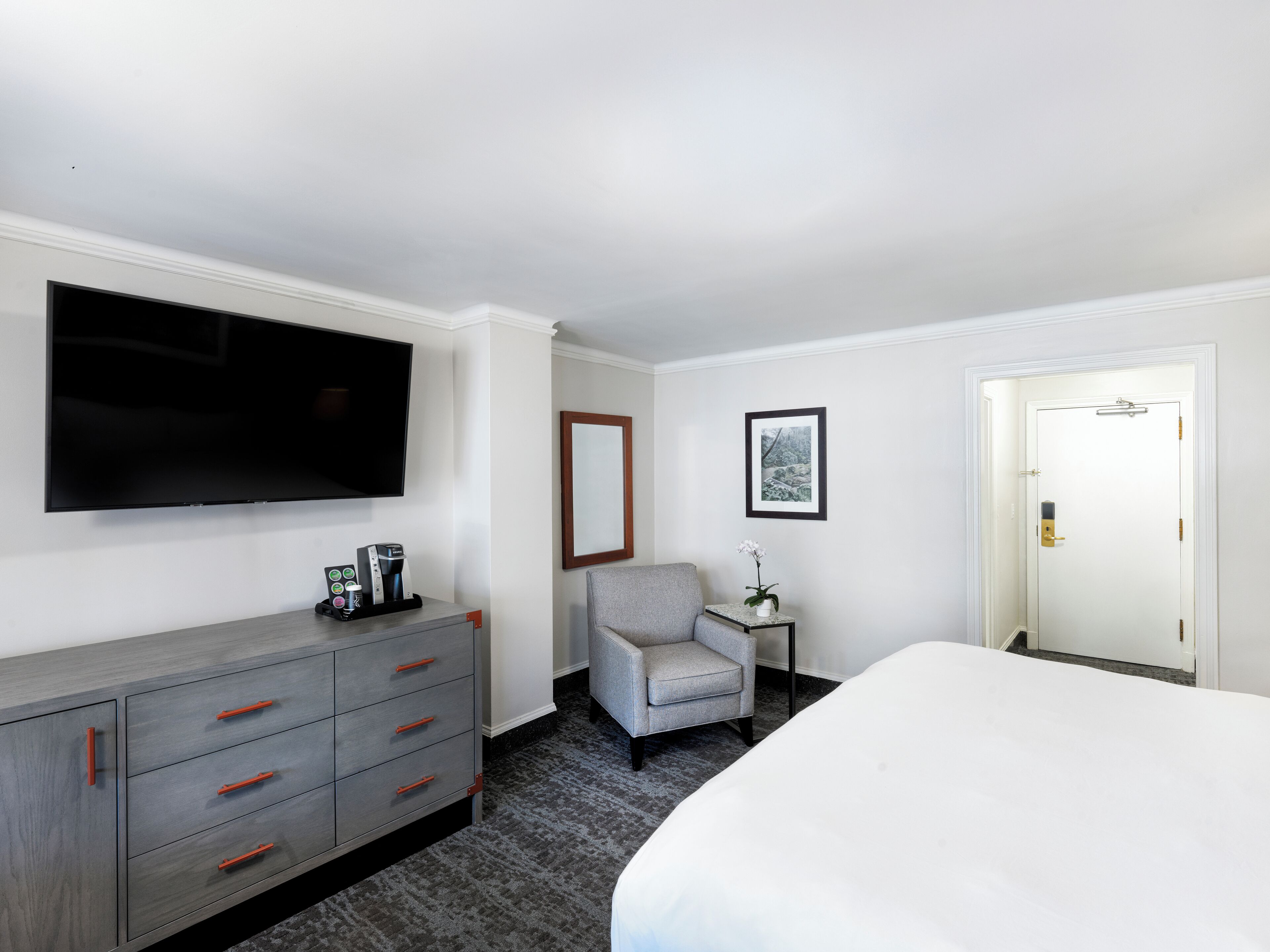 Una habitación de hotel con una cama, un televisor, un sillón gris, una mesita con una planta y un aparador con pomos rojos.