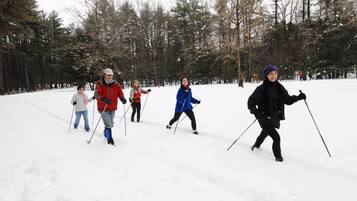 Un grupo de personas esquía de fondo en un bosque nevado.