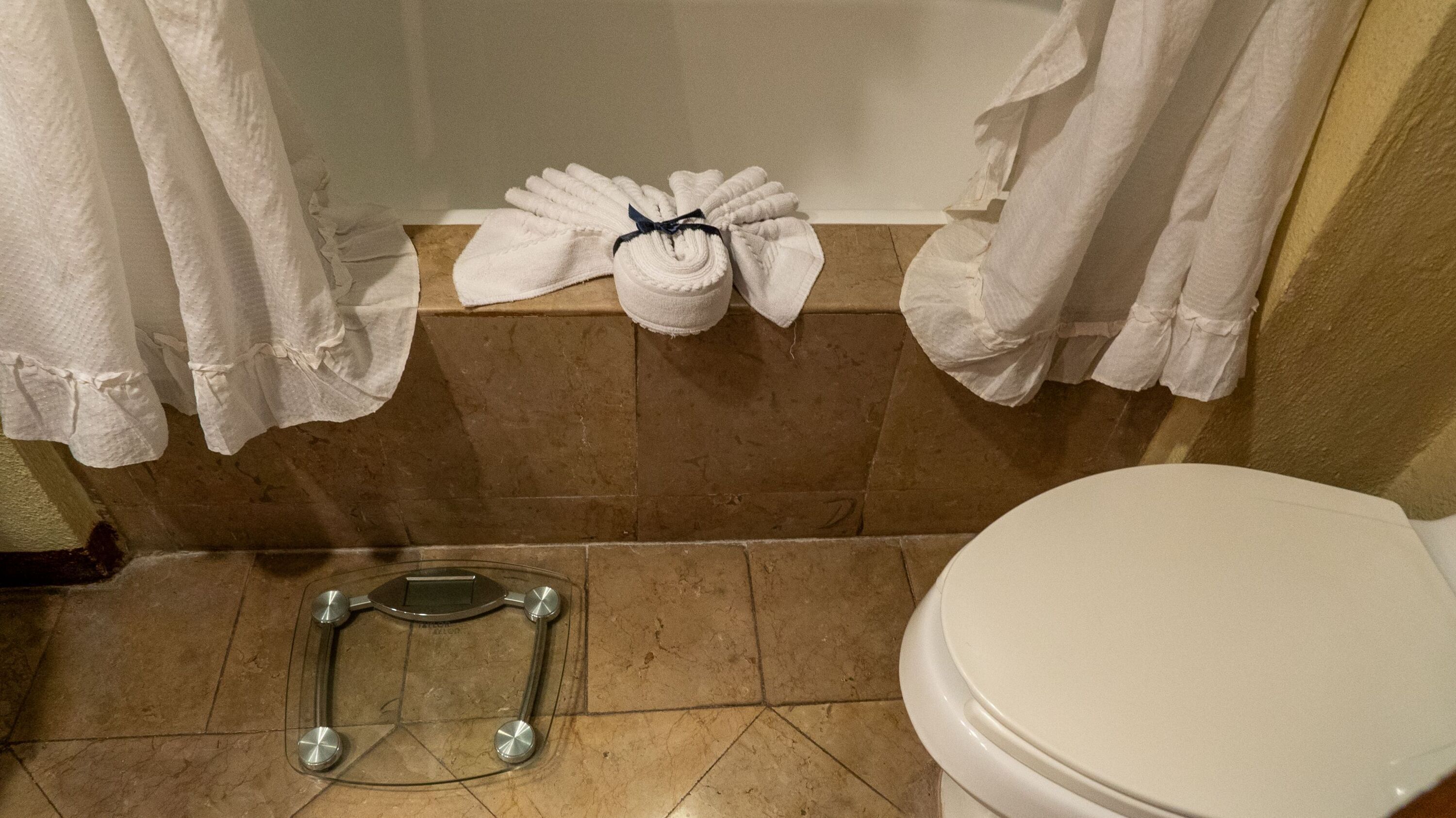 Un baño con inodoro, zona de ducha y bidé.