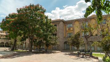 A courtyard with a large tree, benches, and a building with stone columns and balconies.