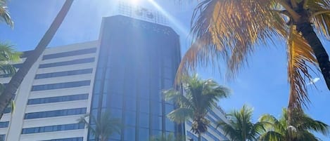 A swimming pool with a wooden deck, surrounded by palm trees and a modern building with reflective glass windows.