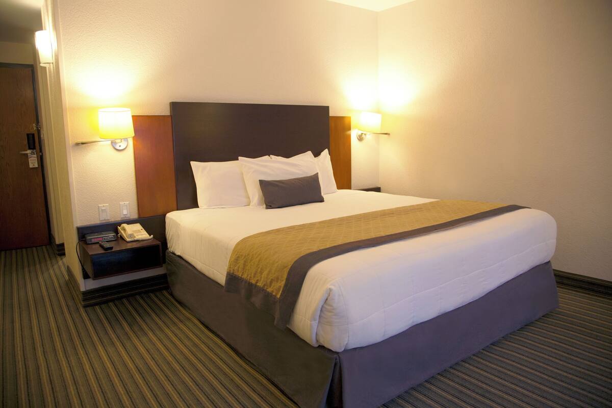 A hotel room with a large bed, two bedside lamps, a nightstand with a phone, and a carpeted floor.