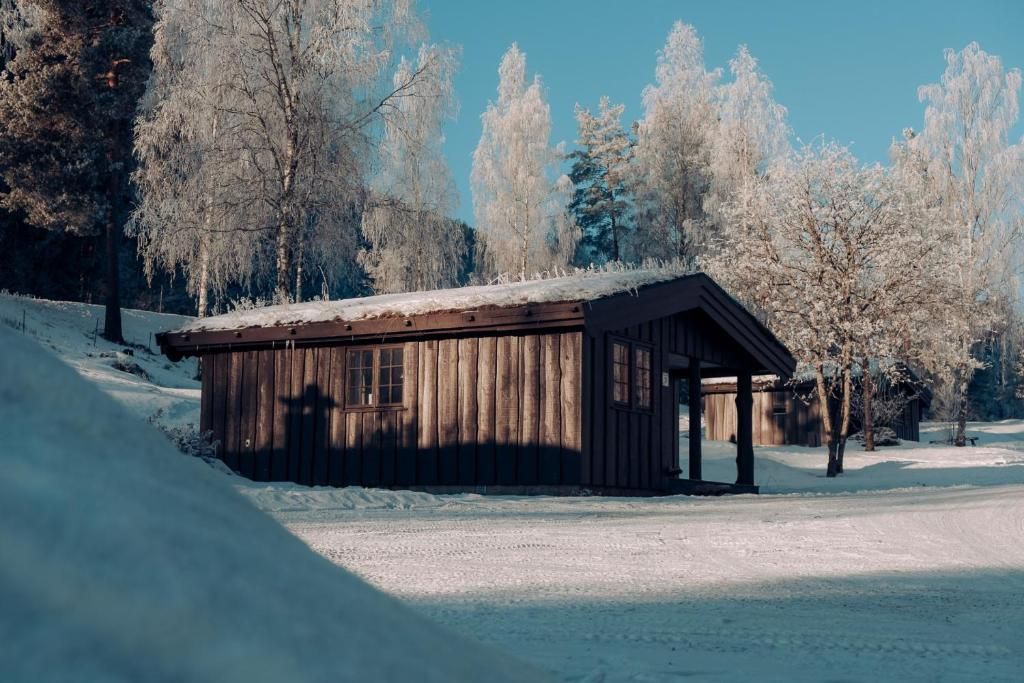 A wooden cabin with a sloped roof, surrounded by snow-covered ground and trees.