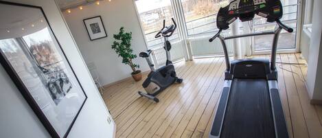 Un gimnasio con cinta de correr, bicicleta estática y una planta en maceta.