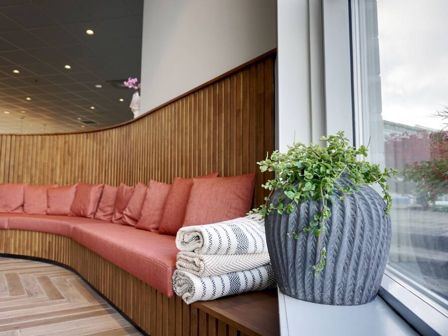 Un interior moderno con un banco curvo de madera, un jarrón gris grande con plantas verdes y vistas al exterior a través de una ventana.
