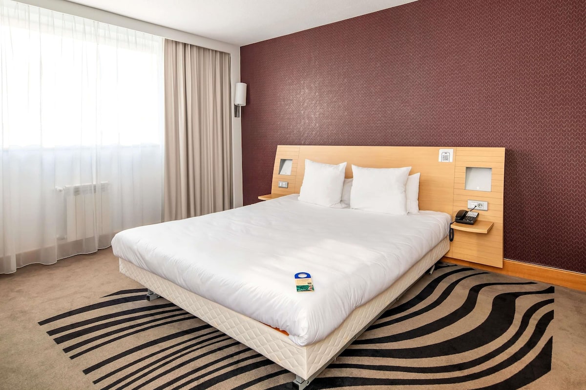 Suite, 1 King Bed with Sofa bed